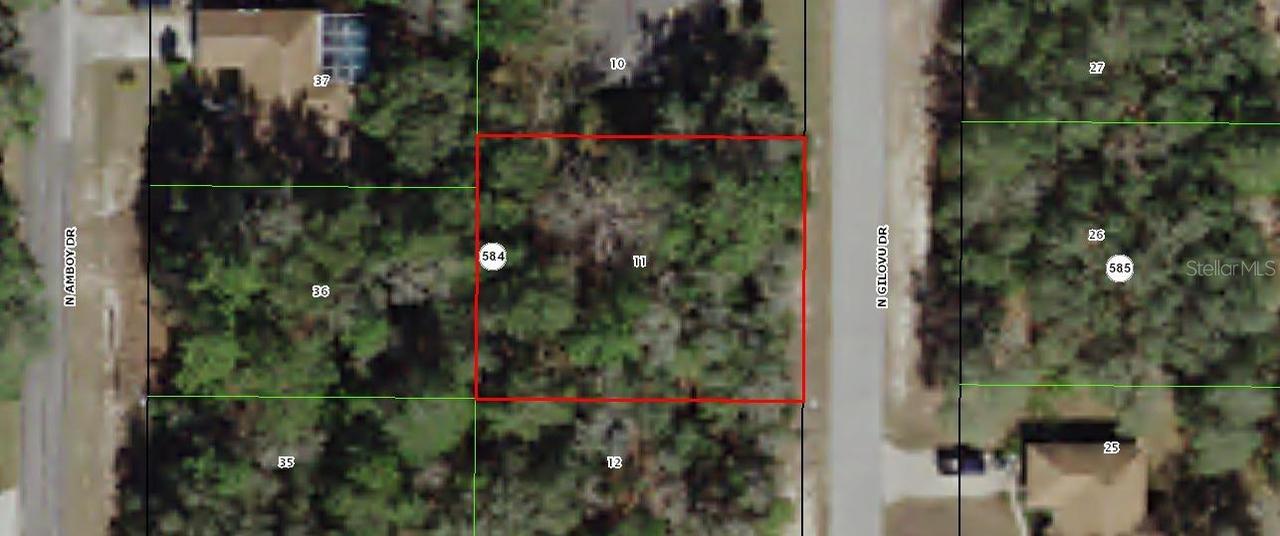 8908 N Gilovu Dr., Citrus Springs, FL 34433