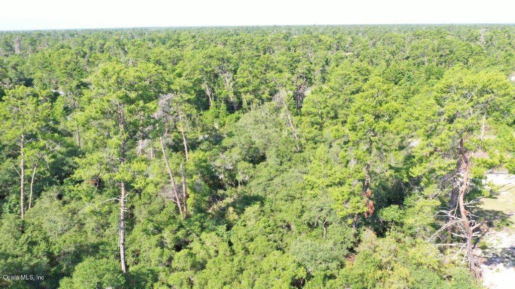 TBD SW 167 Loop, Ocala, FL 34473