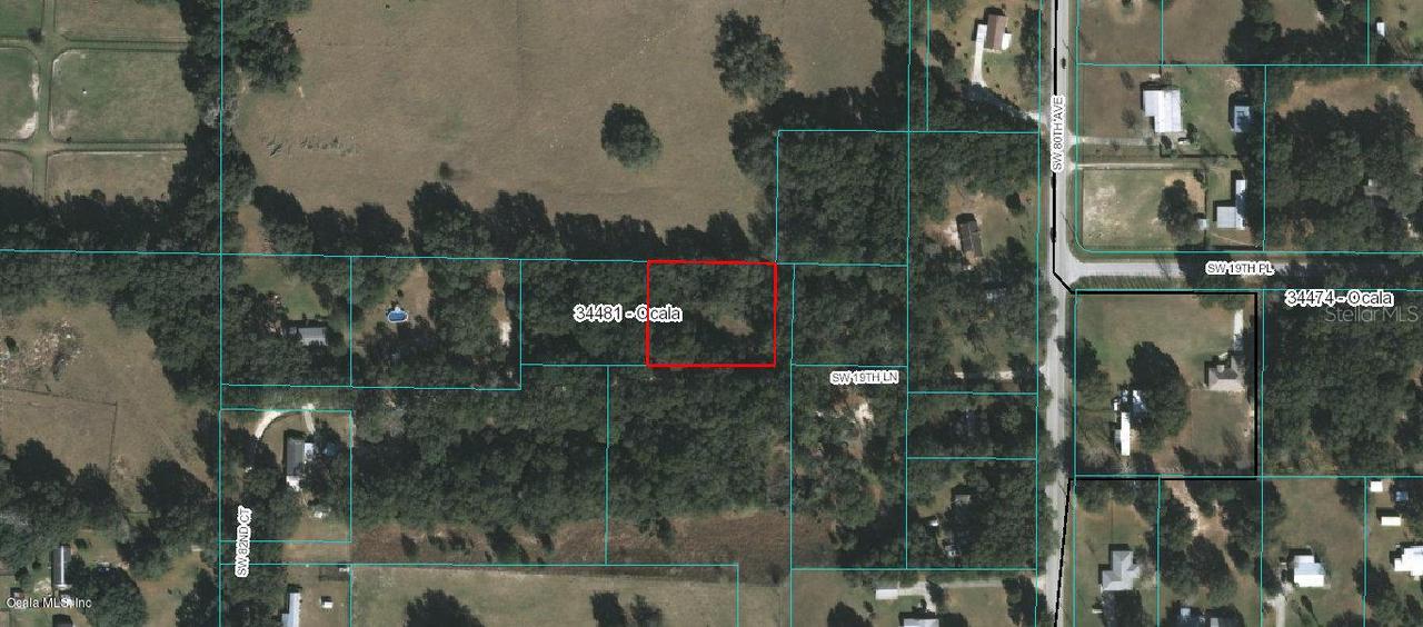 8105 SW 19th Ln., Ocala, FL 34481