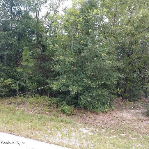 Bahia Pass Ln., Ocala, FL 34472