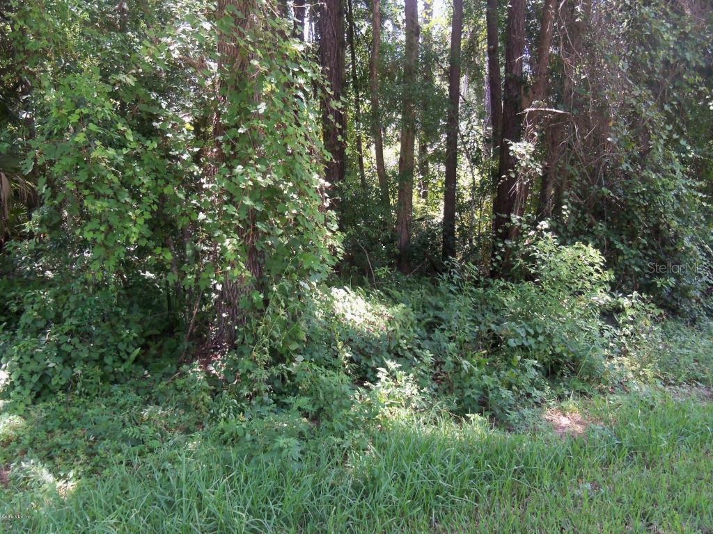 Pecan Dr., Ocala, FL 34472
