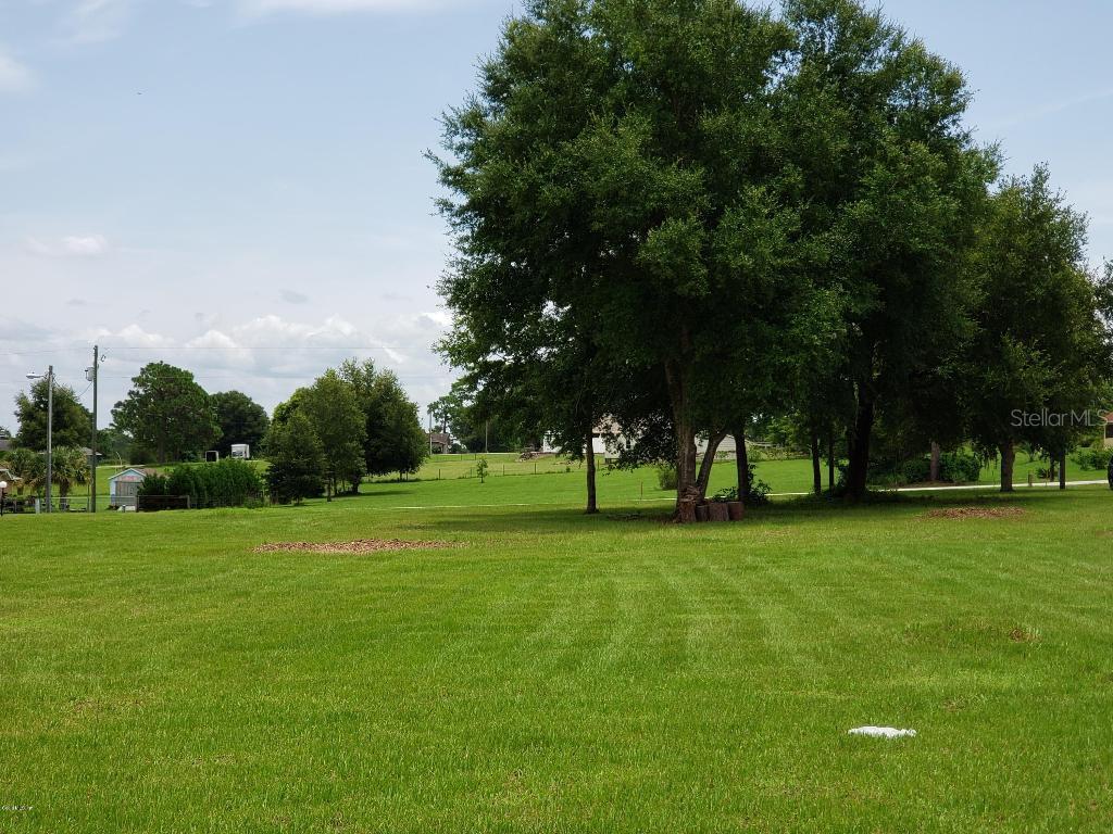 8920 S Filly Point, Inverness, FL 34452