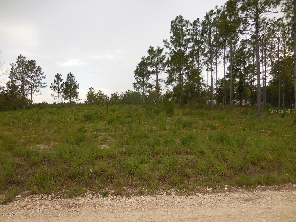 15671 NE 5th St., Williston, FL 32696