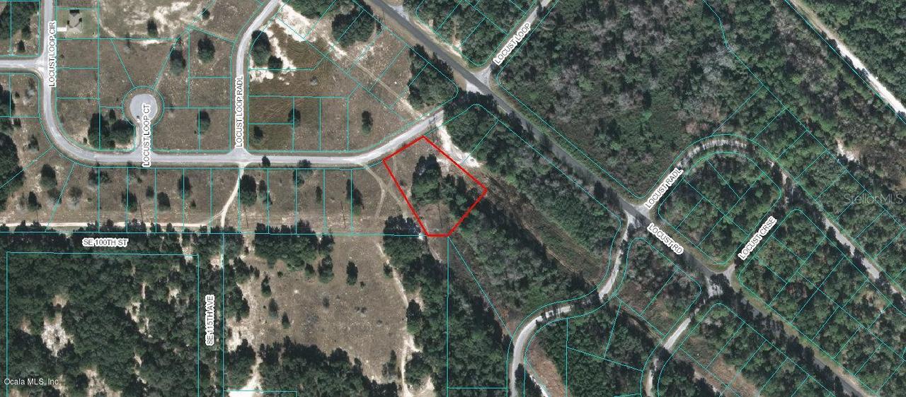 TBD Locust Loop Cir., Ocala, FL 34472