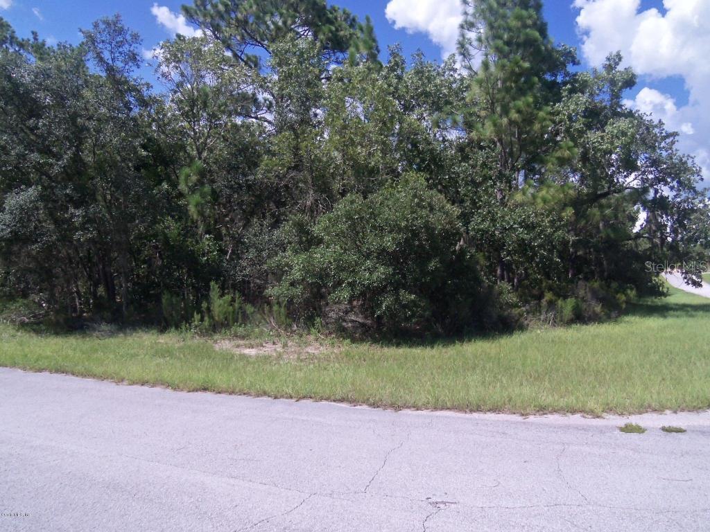 SW 65 Avenue Rd., Ocala, FL 34476