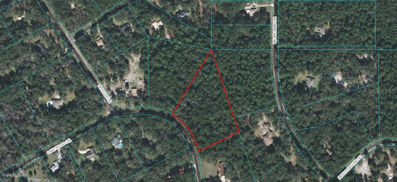 Lake Wood Dr., Ocala, FL 34482