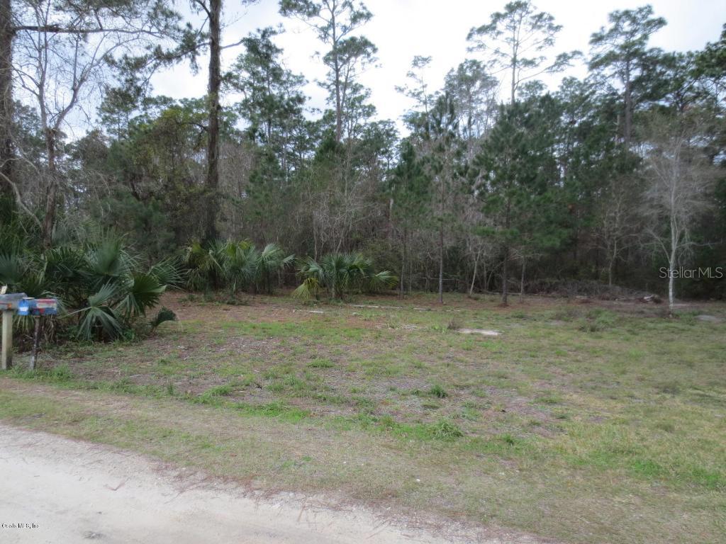 NE 130th Ct., Silver Springs, FL 34488