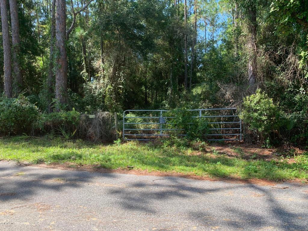 4094 E Fort Apache Pl., Dunnellon, FL 34434