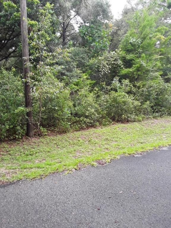 9052 W 9052 W Chata Pl  Crystal, Fl. Pl., Crystal River, FL 34428