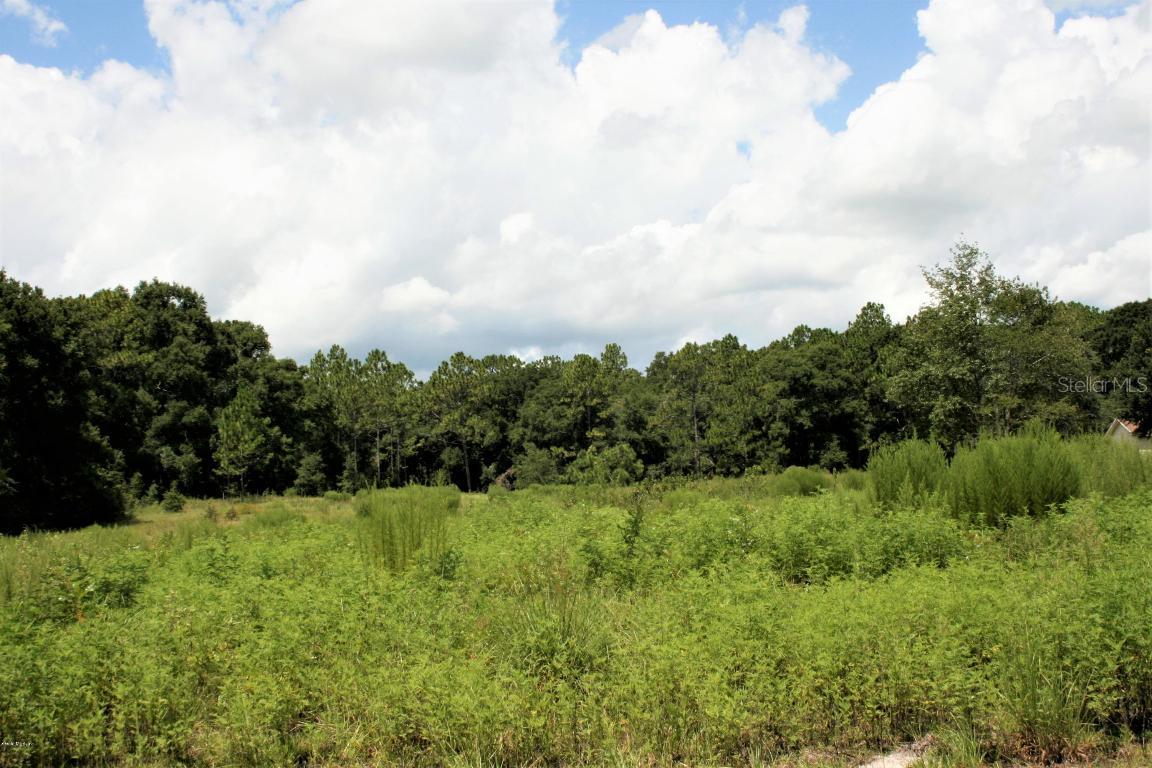 SE 36 Ave., Summerfield, FL 34491