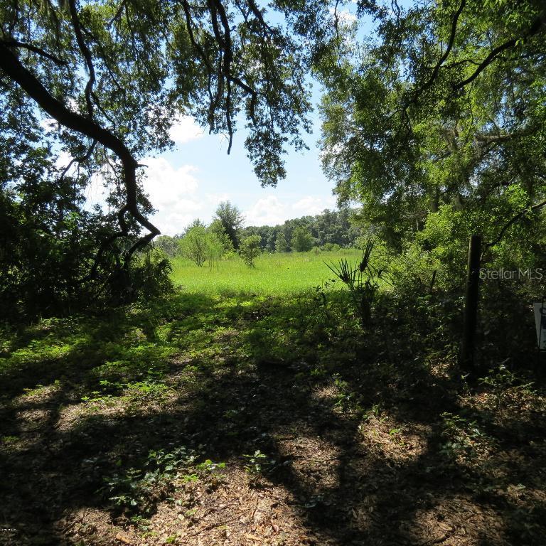 000 NE 178th Ter., Williston, FL 32696