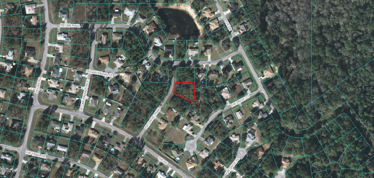 TBD Fir Drive Track, Ocala, FL 34472