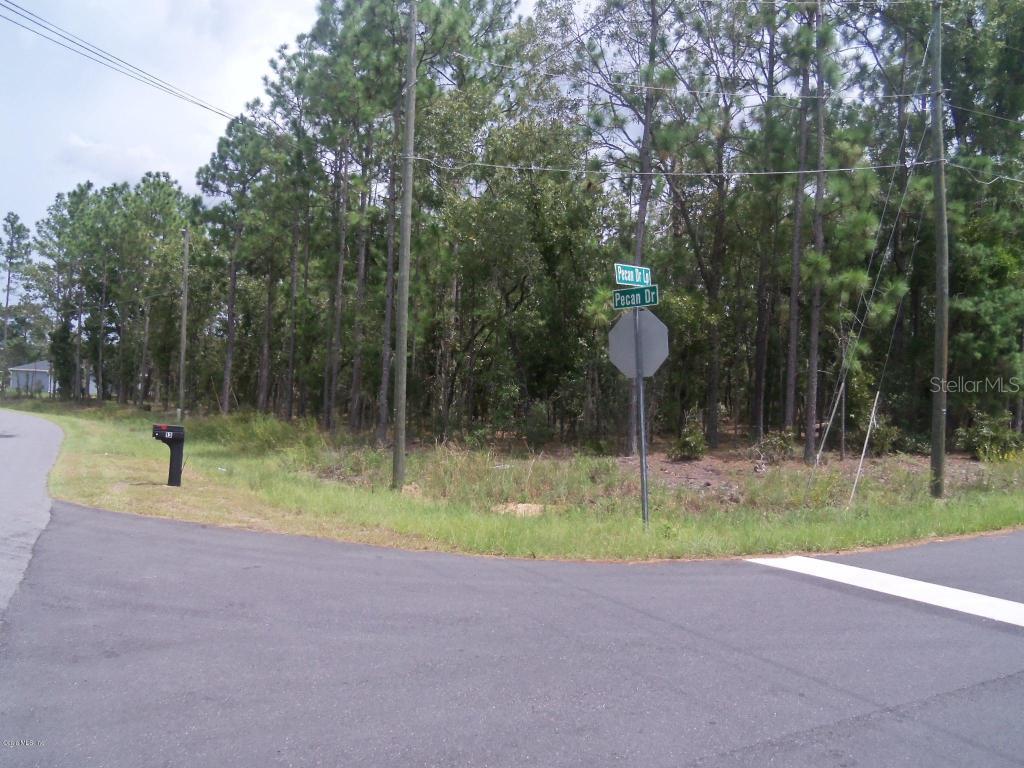 Pecan Dr Loop, Ocala, FL 34472