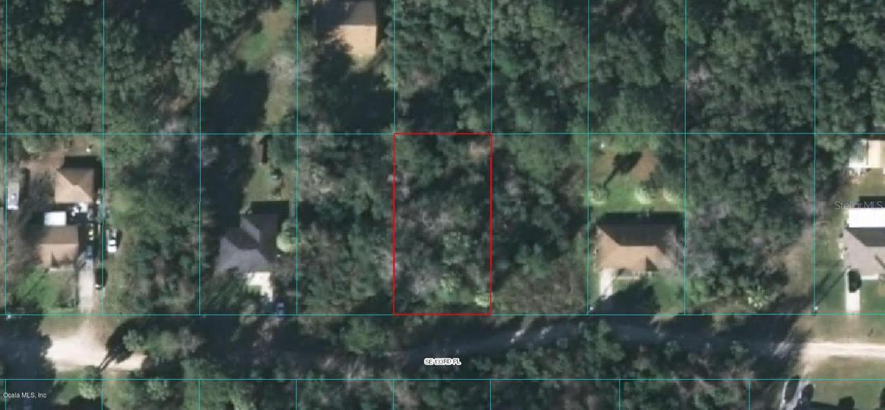 SE 133rd Pl., Belleview, FL 34420