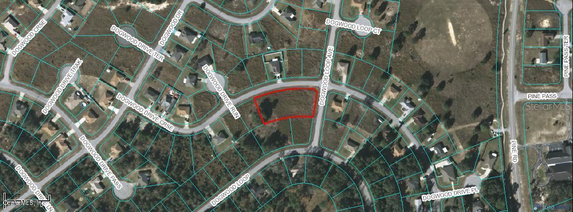 TBD Dogwood Drive Course, Ocala, FL 34472