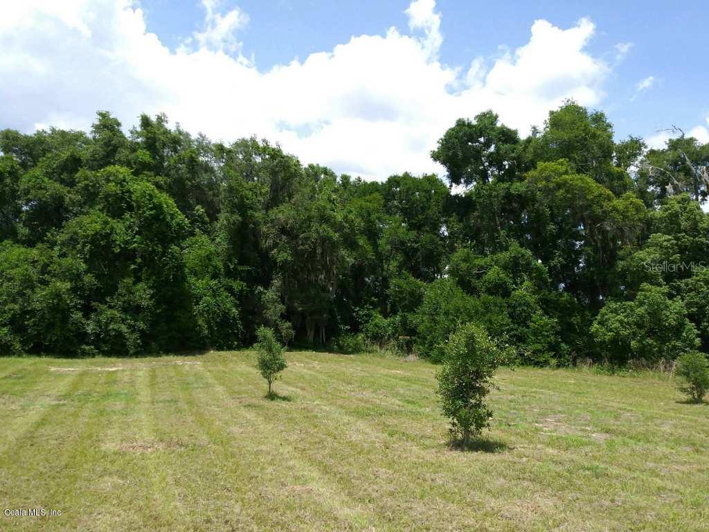 0.31ac SE 142nd Pl., Summerfield, FL 34491