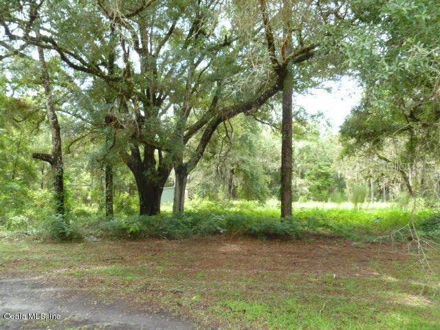 16190 NE 3rd Pl., Williston, FL 32696
