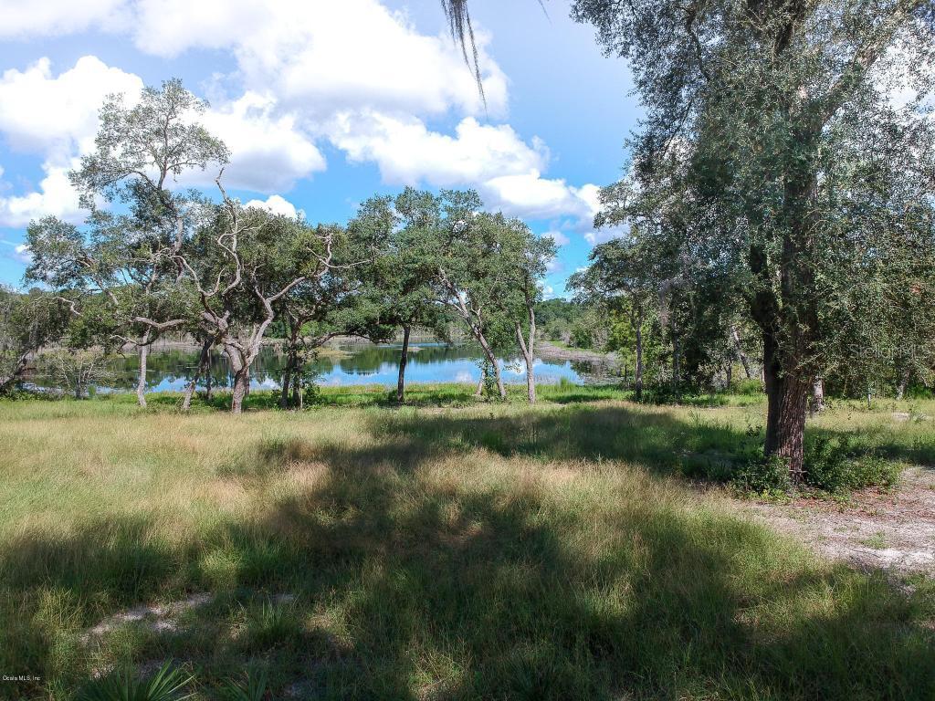 16925 NE 49th Street Rd., Silver Springs, FL 34488