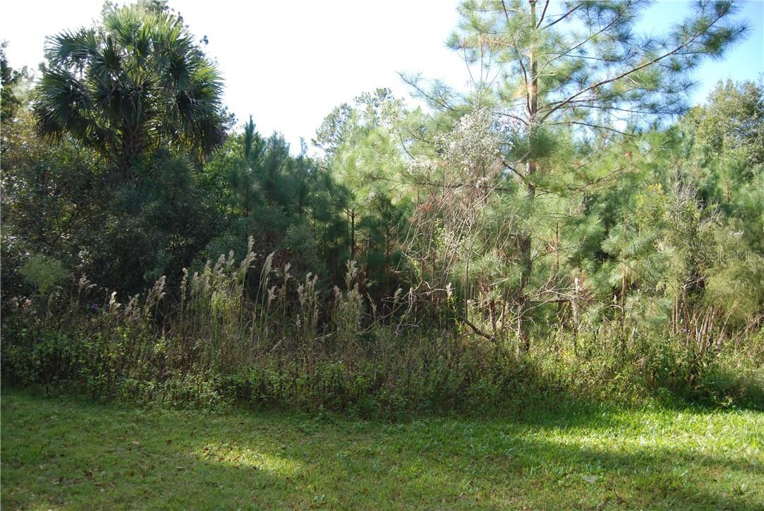 SW 76 Ct., Ocala, FL 34473