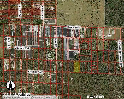 Kearney Ave., Naples, FL 34117