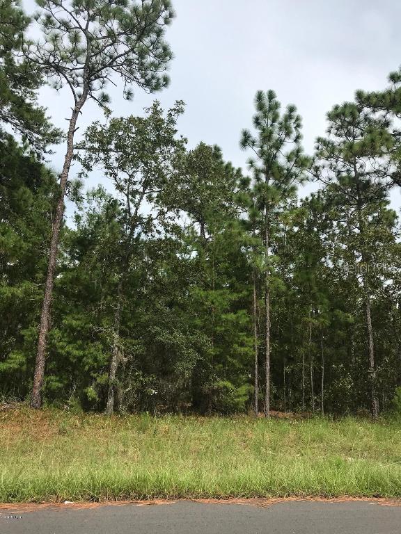 SW 73  Ave Rd., Ocala, FL 34473