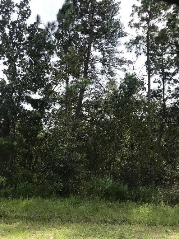 TBA SW 65 Cir Cir., Ocala, FL 34473