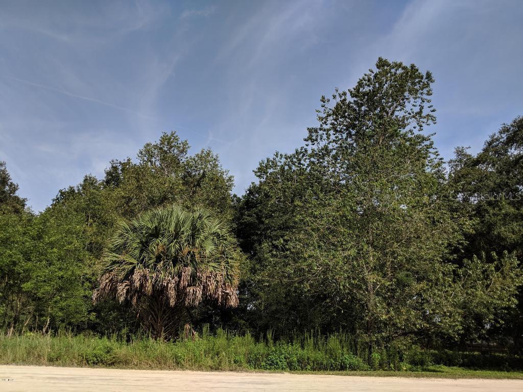 SW 150th Ct., Ocala, FL 34481