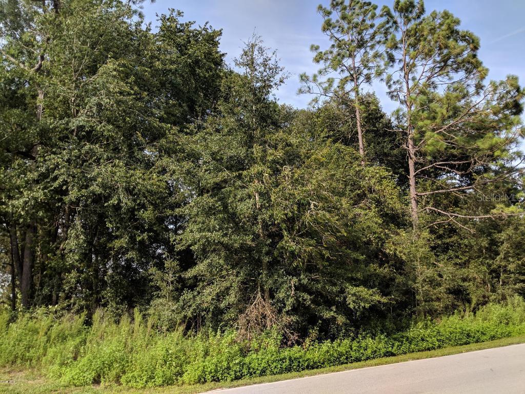 SW 20th Pl., Ocala, FL 34481