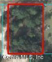 SW 178th Lane Rd., Ocala, FL 34473