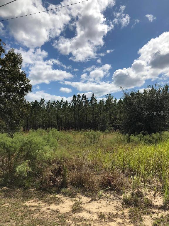 000 Oak Run, Ocala, FL 34472
