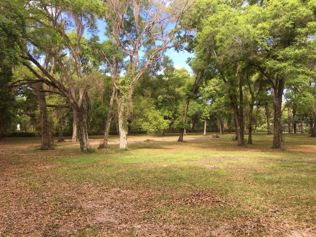 SW 2nd Ave., Ocala, FL 34476
