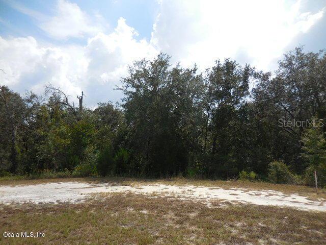 13750 NE 51st Ln., Williston, FL 32696