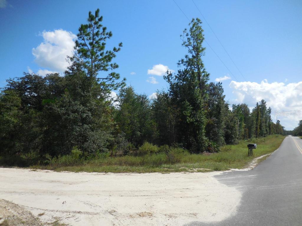 6451 NE 126th Ave., Williston, FL 32696