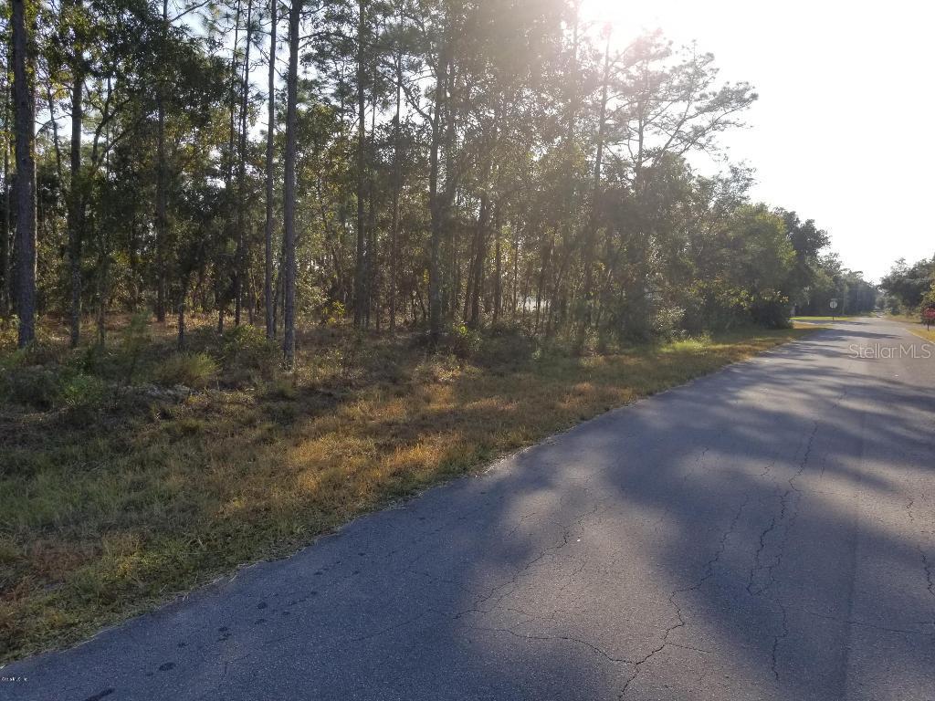 TBD NE 150 Ave., Williston, FL 32696