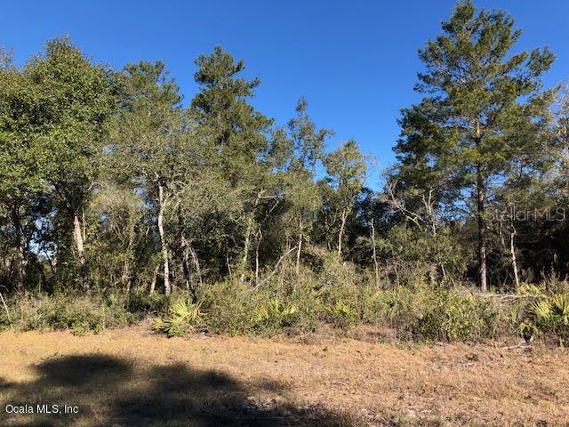 001 SW 158th Loop, Ocala, FL 34476