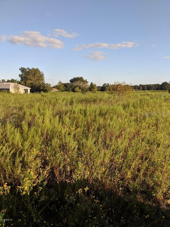 151 Ave., Ocala, FL 34481