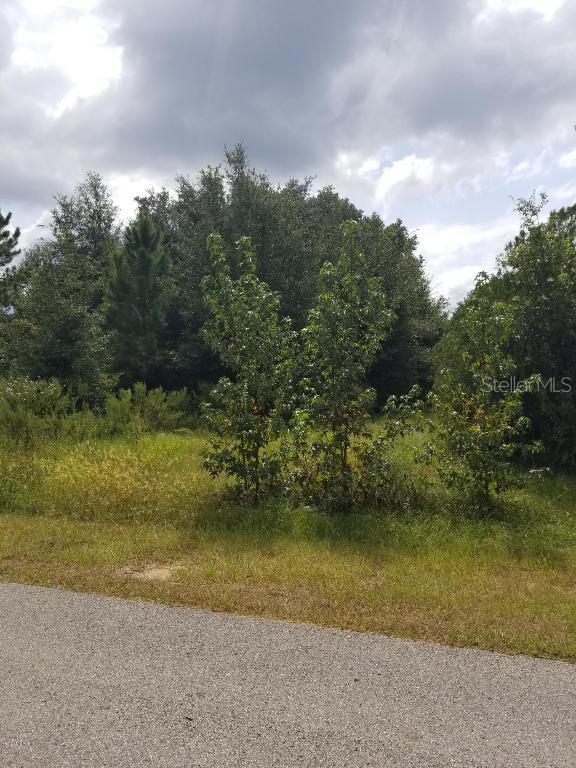 000 SW 153rd Place Rd., Ocala, FL 34473
