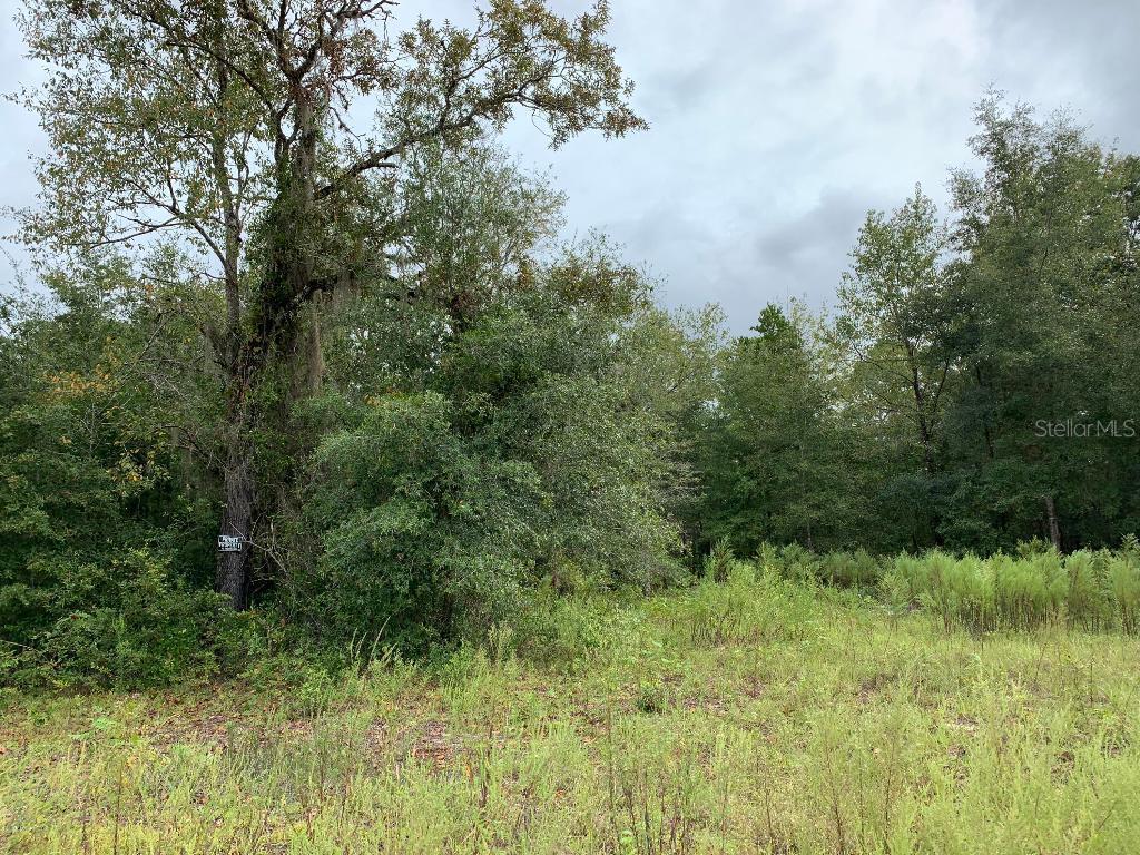 14110 NE 49th Ln., Williston, FL 32696