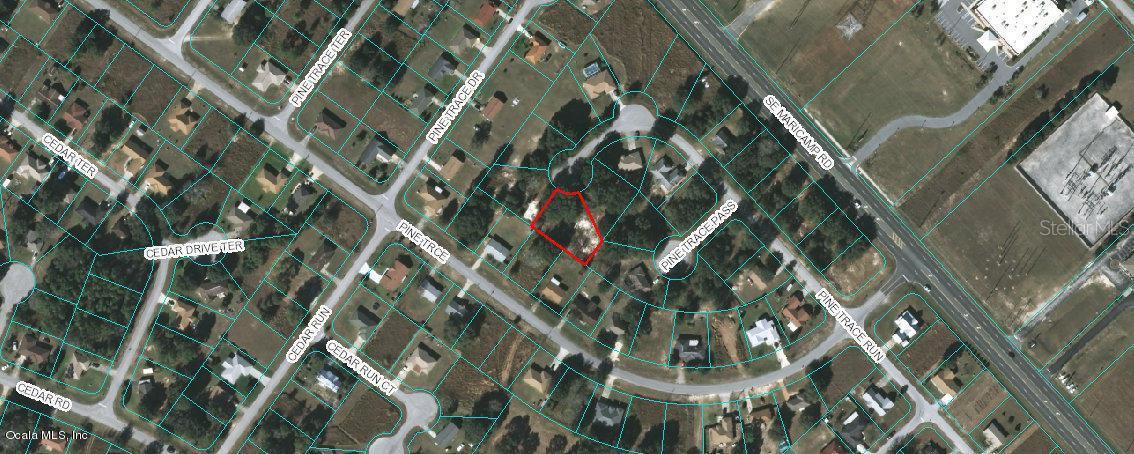 Tbd Pine Trace Run, Ocala, FL 34472