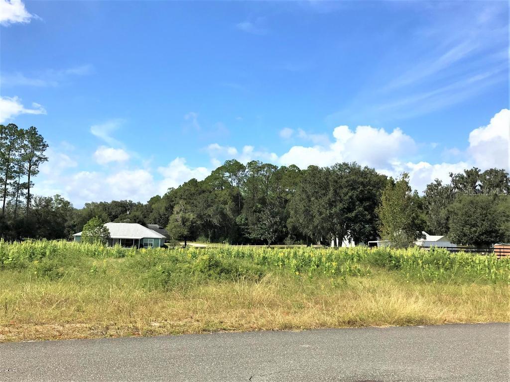 TBD SW 8th Dr., Williston, FL 32696