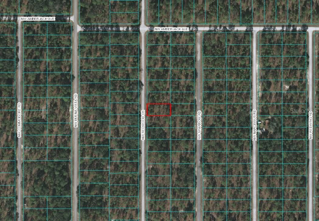 00 Nw Redwood Drive, Dunnellon, FL 34431