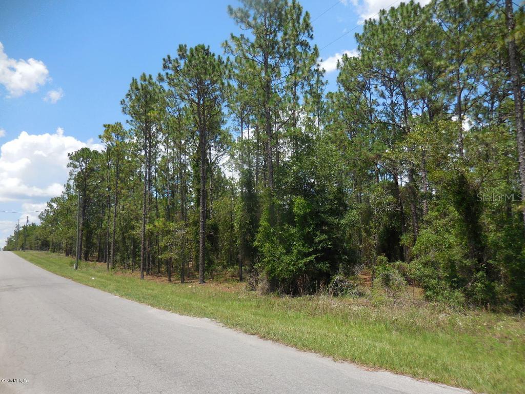 635 NE 150th Ave., Williston, FL 32696