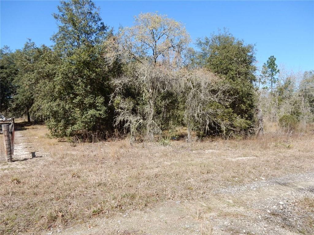 TBD NE 125th Ct., Williston, FL 32696