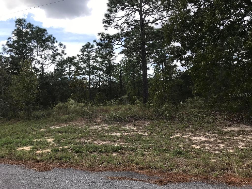 TBD SW 60th Ter., Ocala, FL 34471