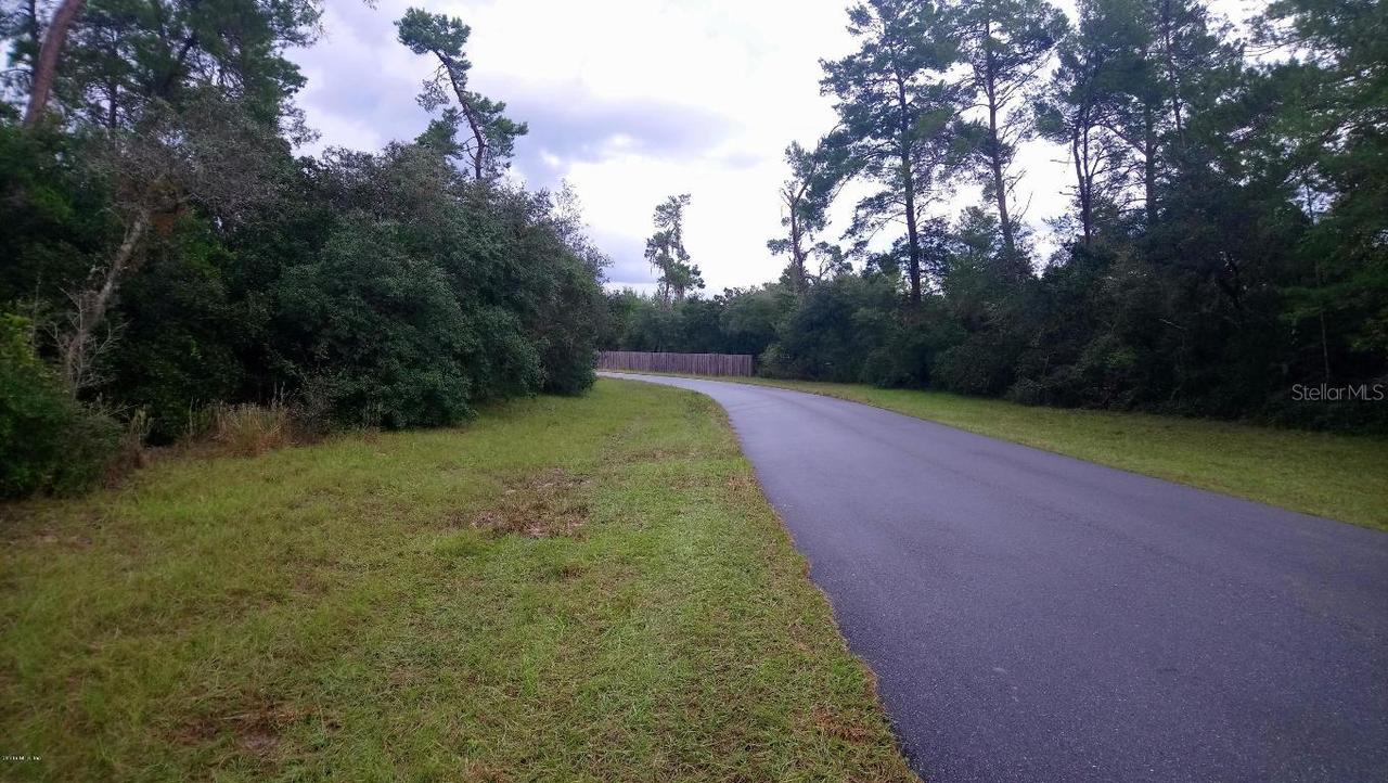 SW 161 Loop, Ocala, FL 34473