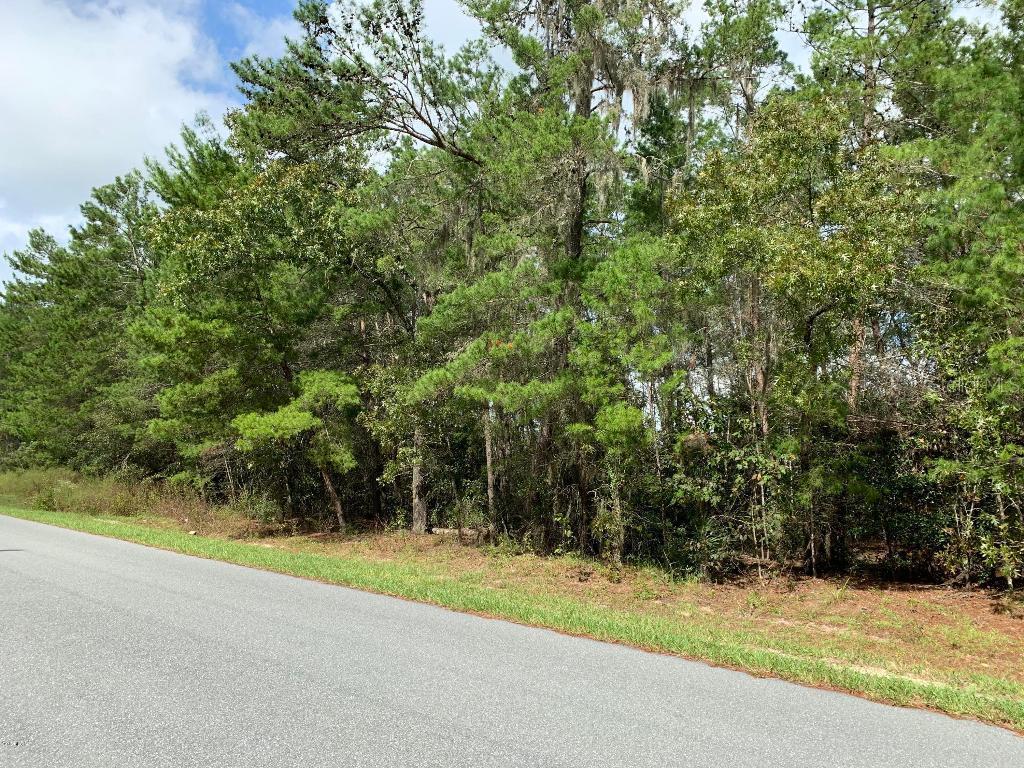 01 SW 112th Ln., Ocala, FL 34476