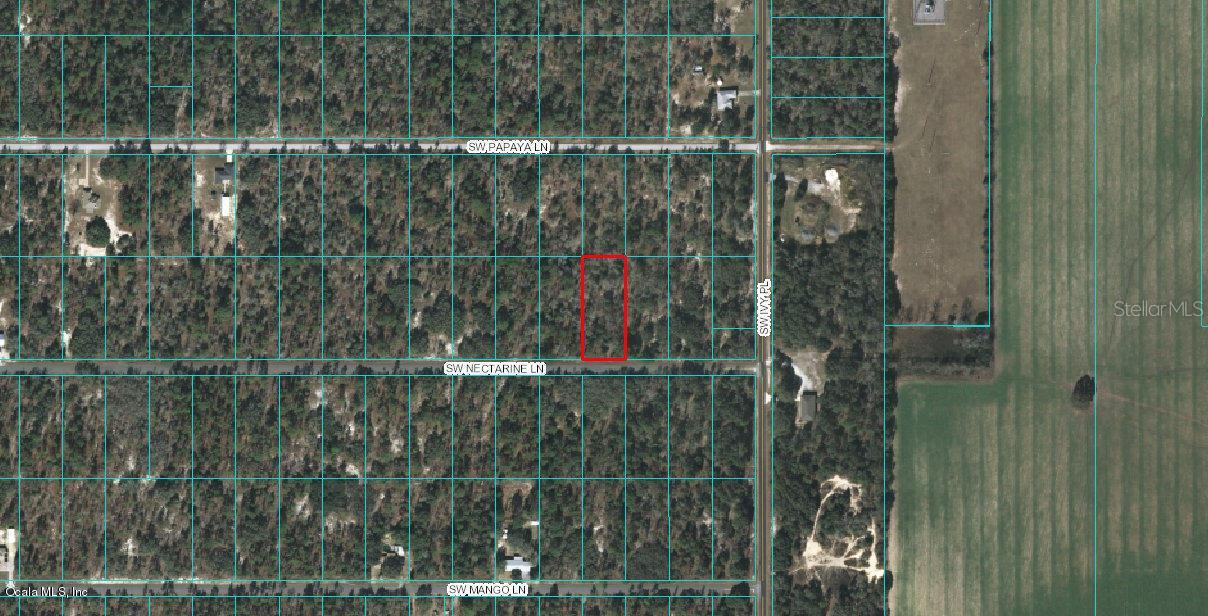 SW Nectarine Ln., Dunnellon, FL 34431