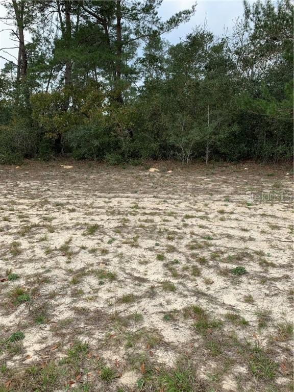 SW Marion Oaks Blvd, Ocala, FL 34473