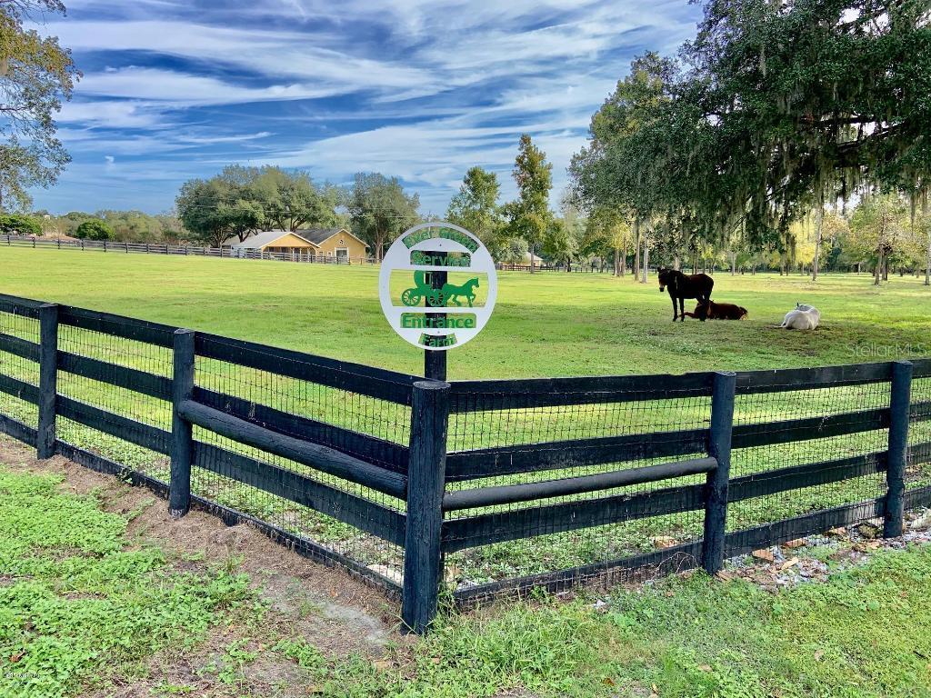 TBD NW Hwy 225a Hwy., Ocala, FL 34482