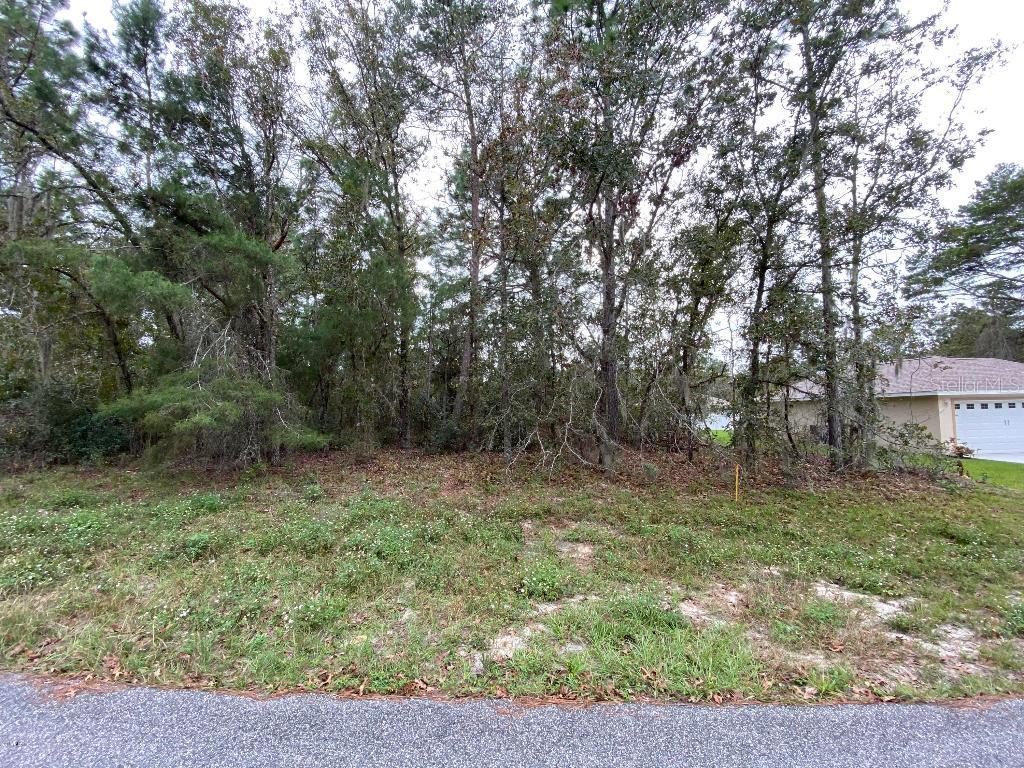SW 165th Street Rd., Ocala, FL 34473